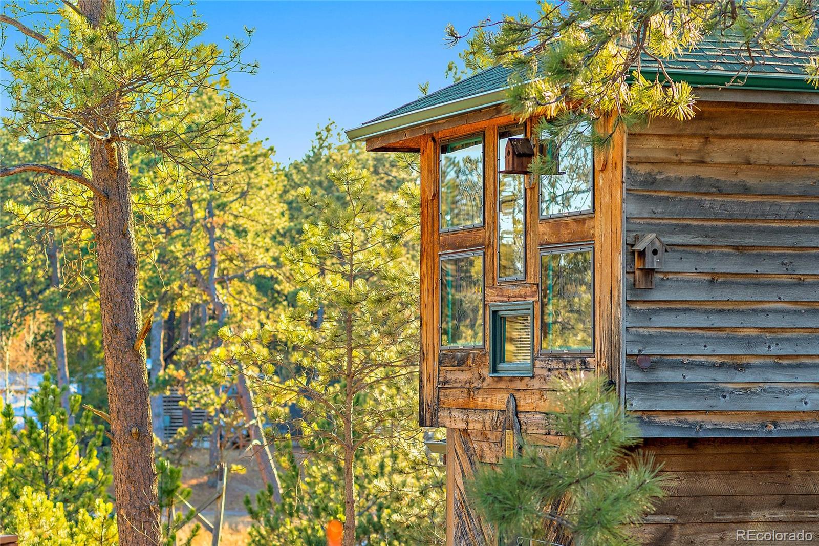 MLS Image #34 for 11855  grandin point,elbert, Colorado
