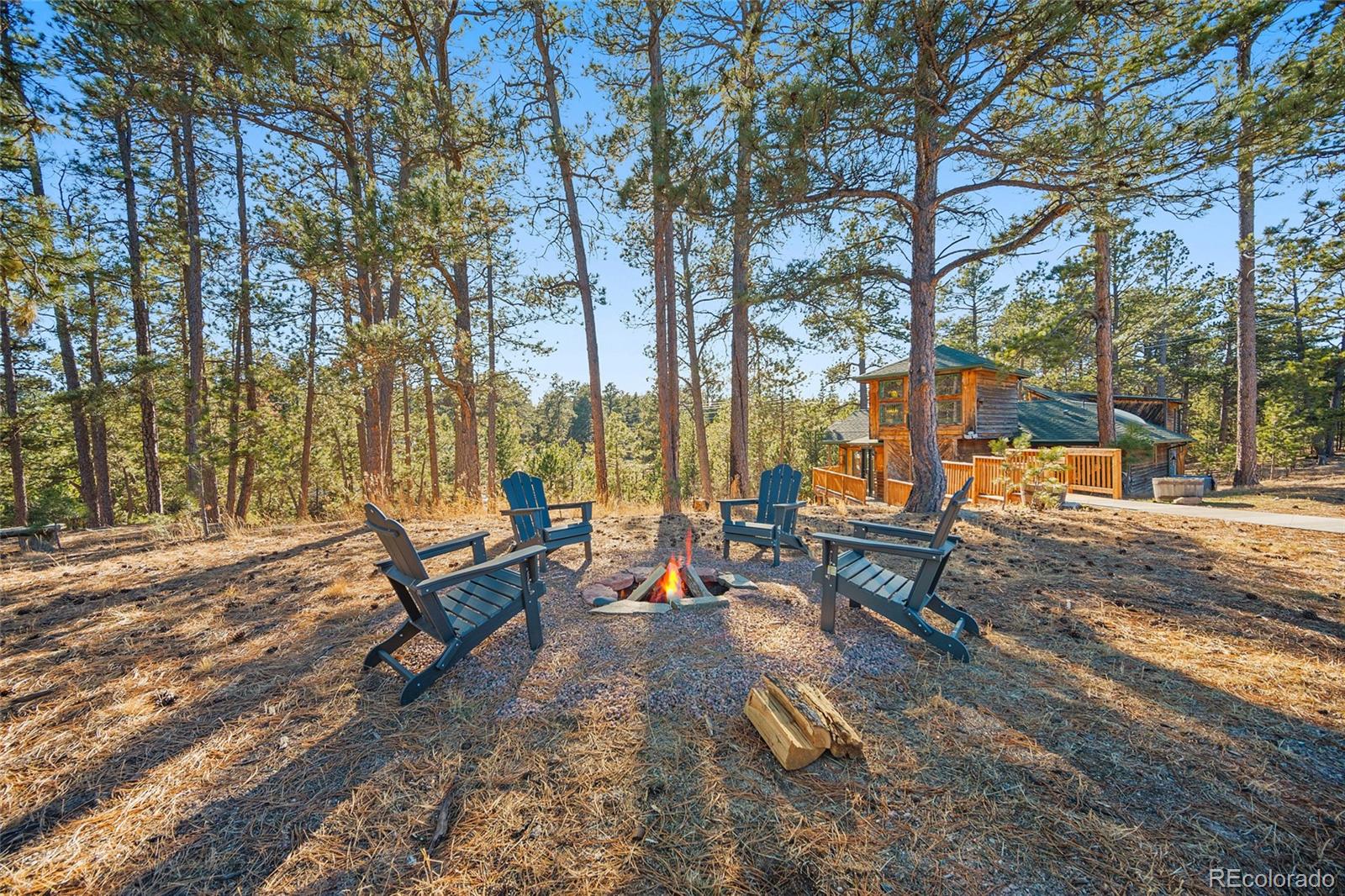 MLS Image #42 for 11855  grandin point,elbert, Colorado