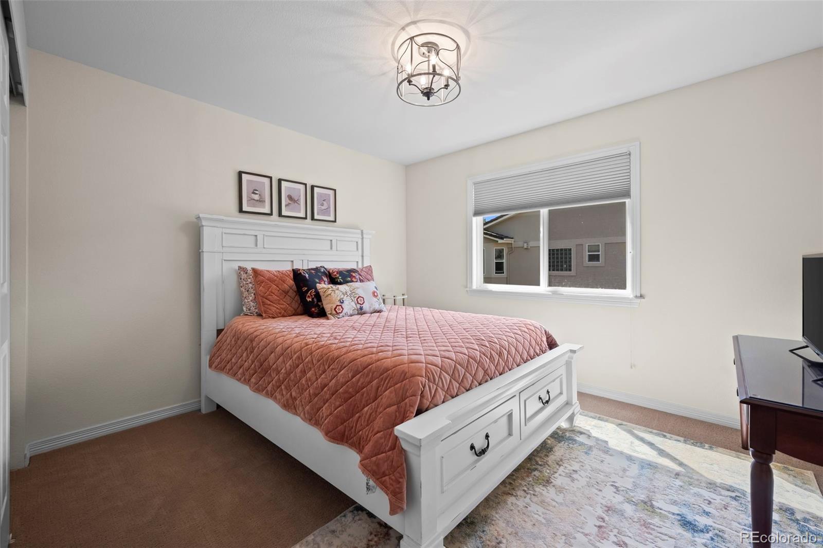 MLS Image #19 for 13924  quail ridge drive,broomfield, Colorado
