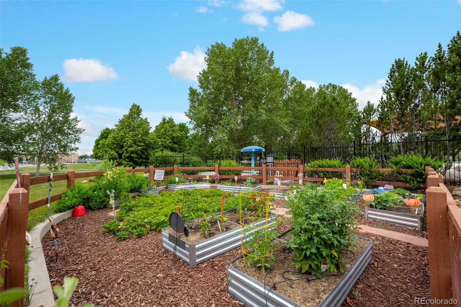 MLS Image #38 for 13924  quail ridge drive,broomfield, Colorado