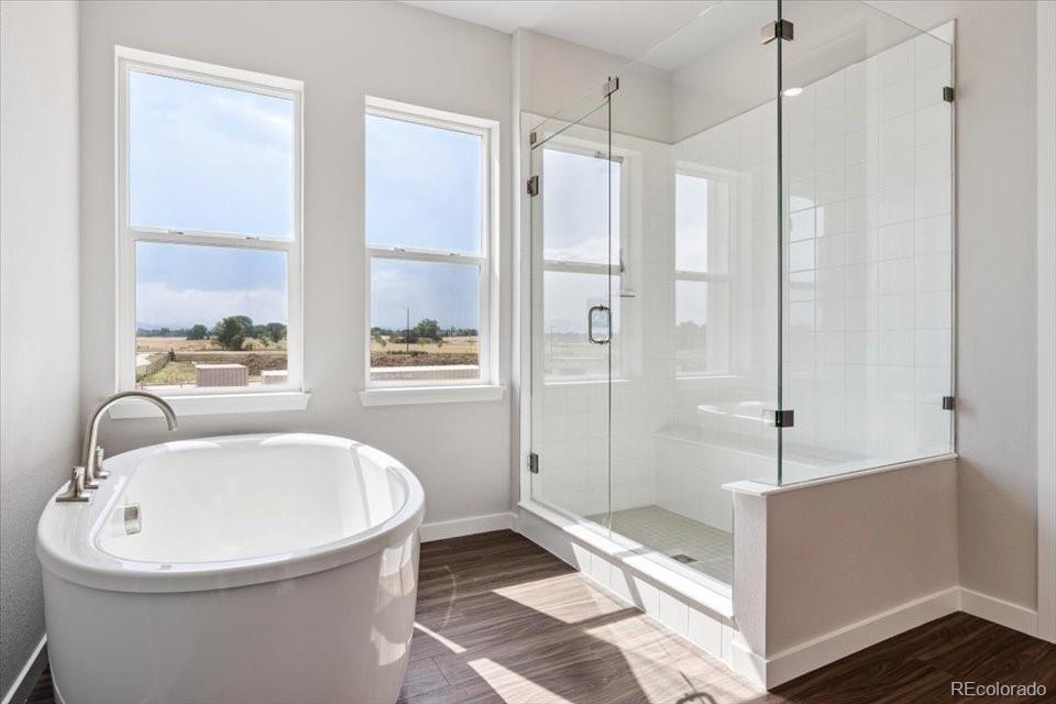 MLS Image #15 for 2537  bailey lane,erie, Colorado