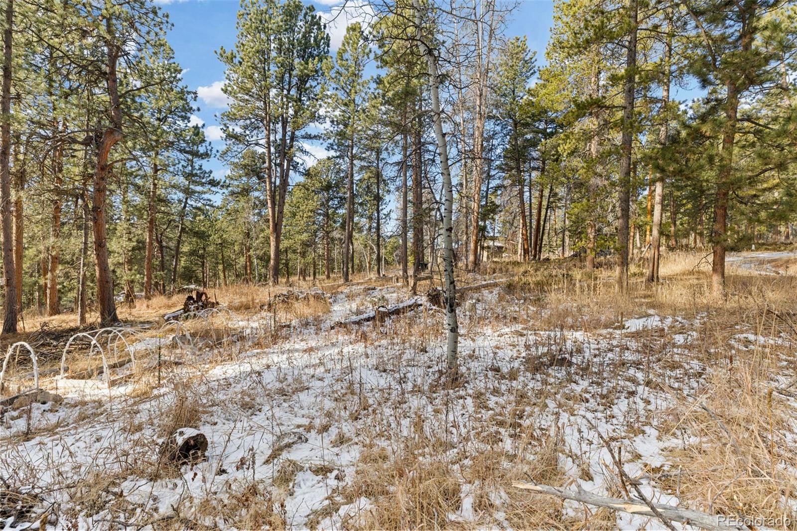 MLS Image #45 for 11155  kennedy avenue,conifer, Colorado