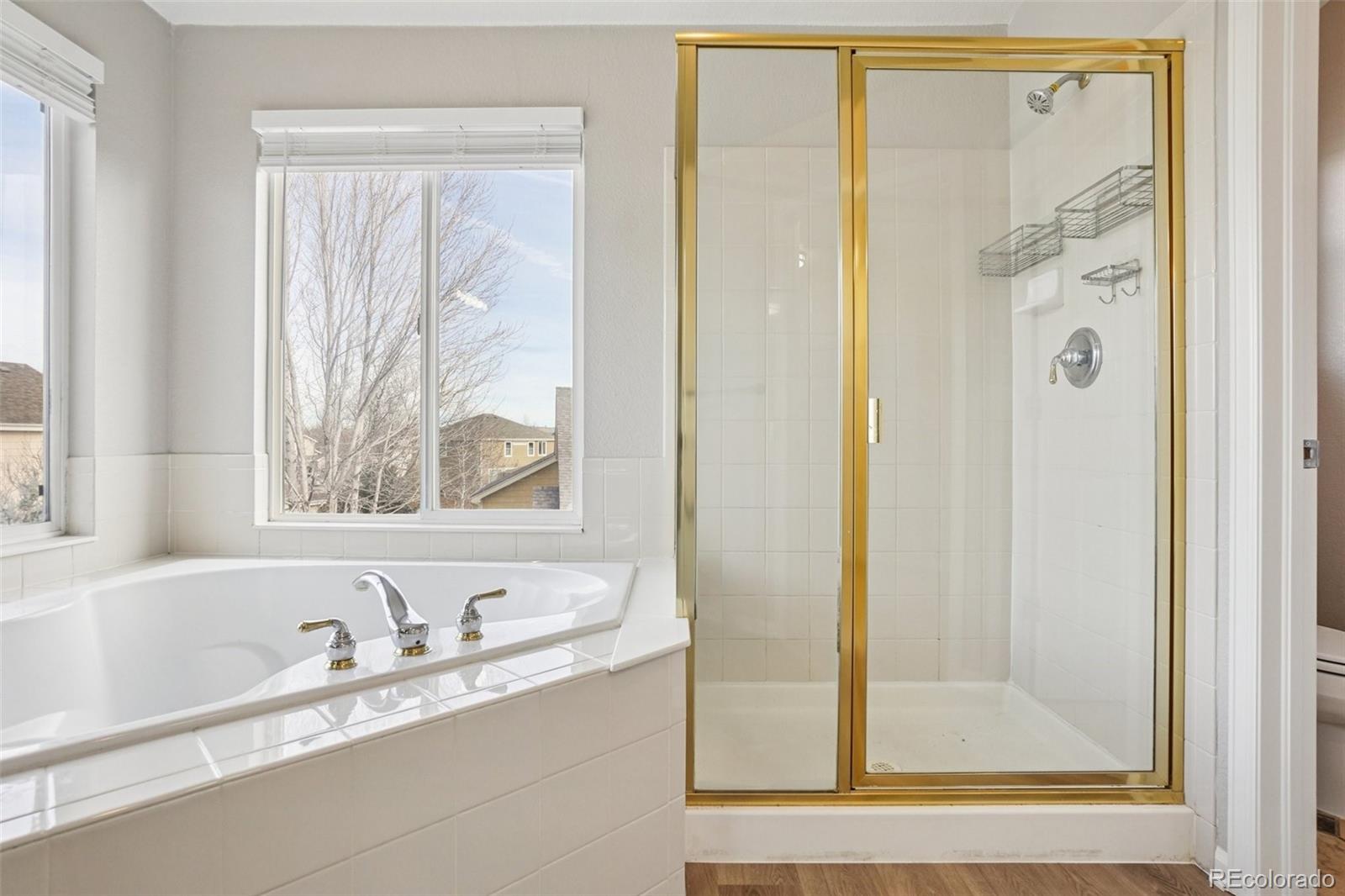 MLS Image #23 for 9482 s alyssum way,parker, Colorado
