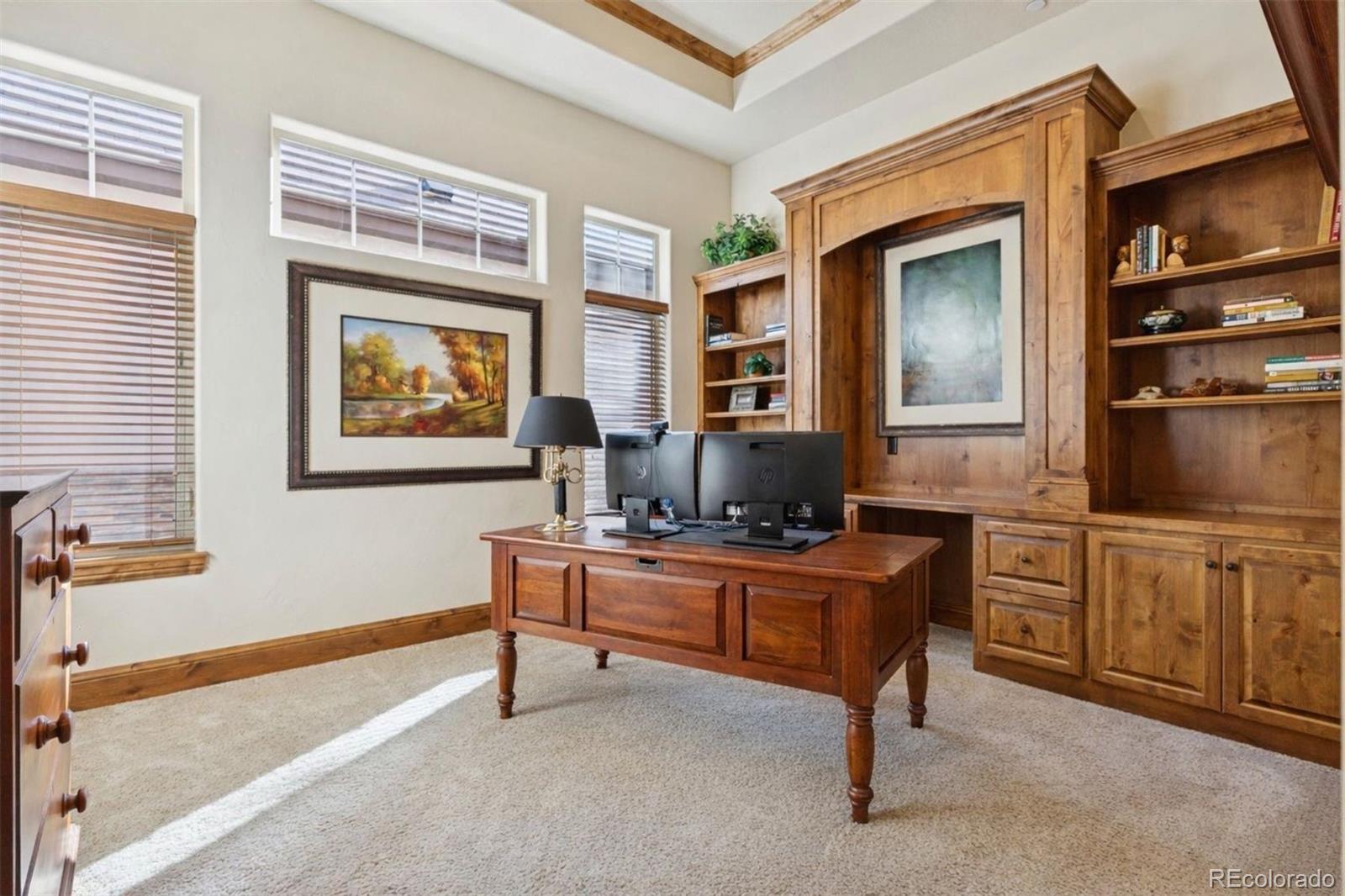 MLS Image #3 for 5094  ten mile place,castle rock, Colorado