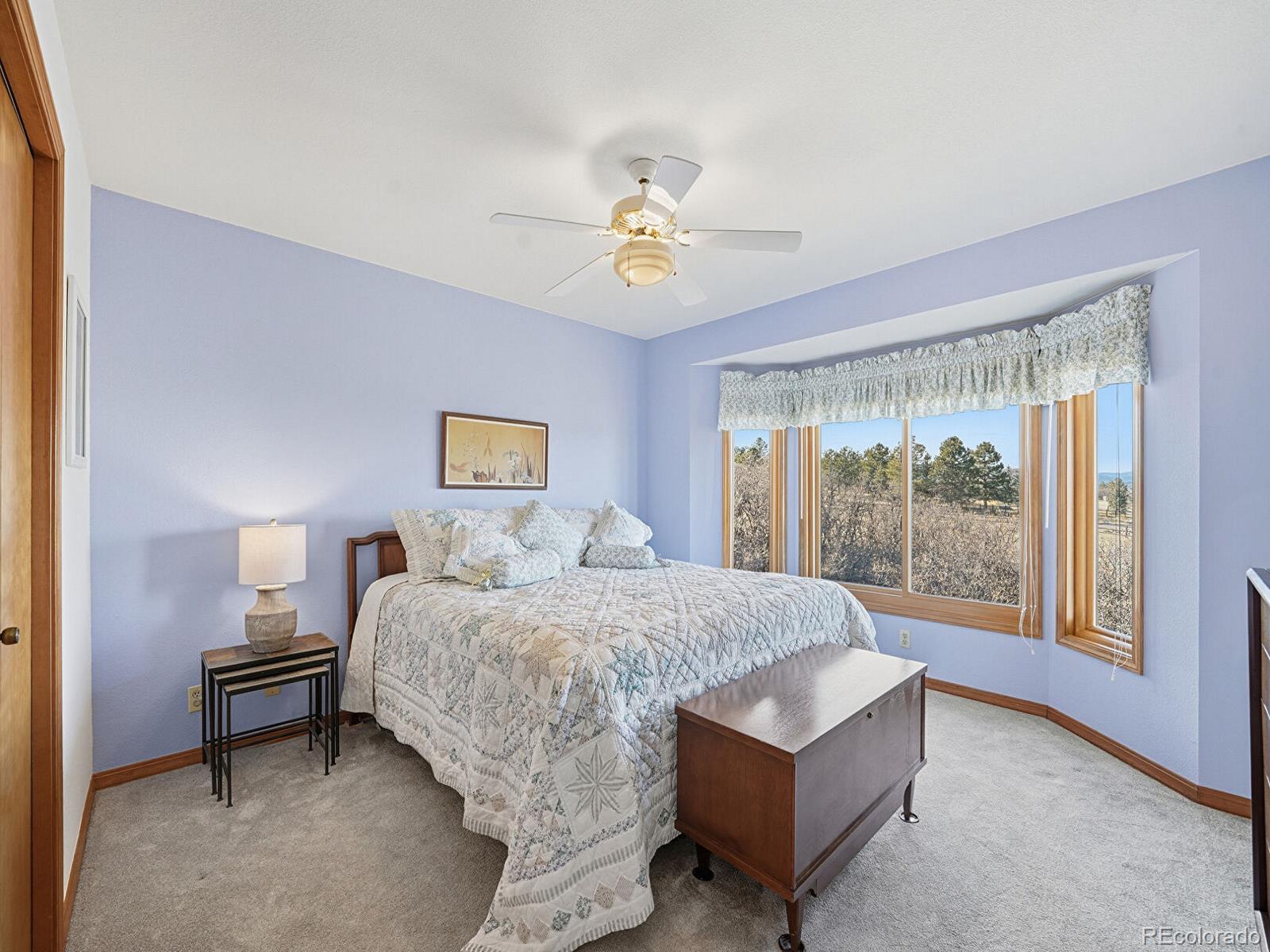 MLS Image #19 for 3541  bear canyon circle,sedalia, Colorado