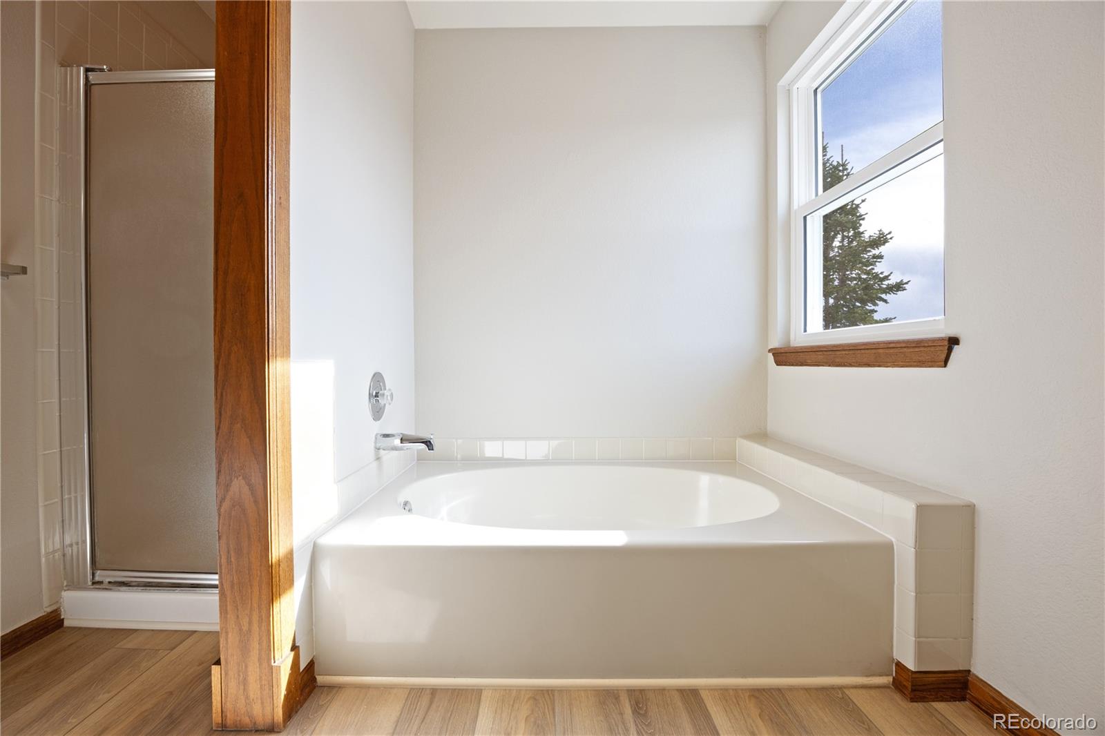 MLS Image #30 for 368  woodstock lane,castle pines, Colorado