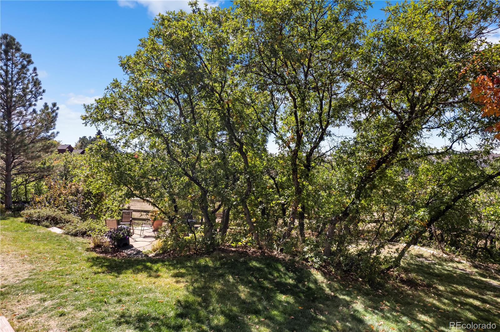 MLS Image #39 for 368  woodstock lane,castle pines, Colorado
