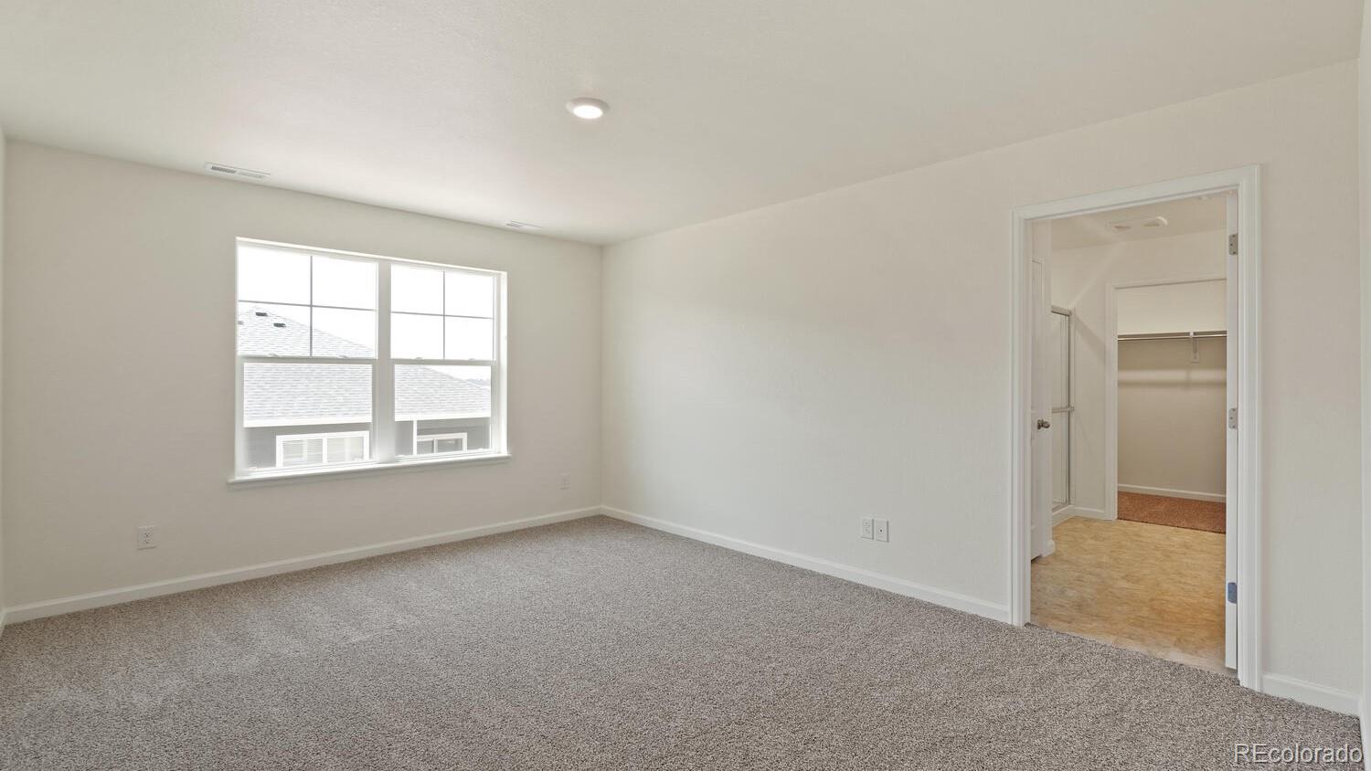 MLS Image #14 for 833  trumpet lane,windsor, Colorado
