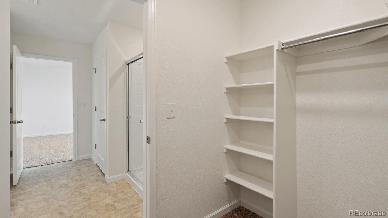 MLS Image #16 for 833  trumpet lane,windsor, Colorado