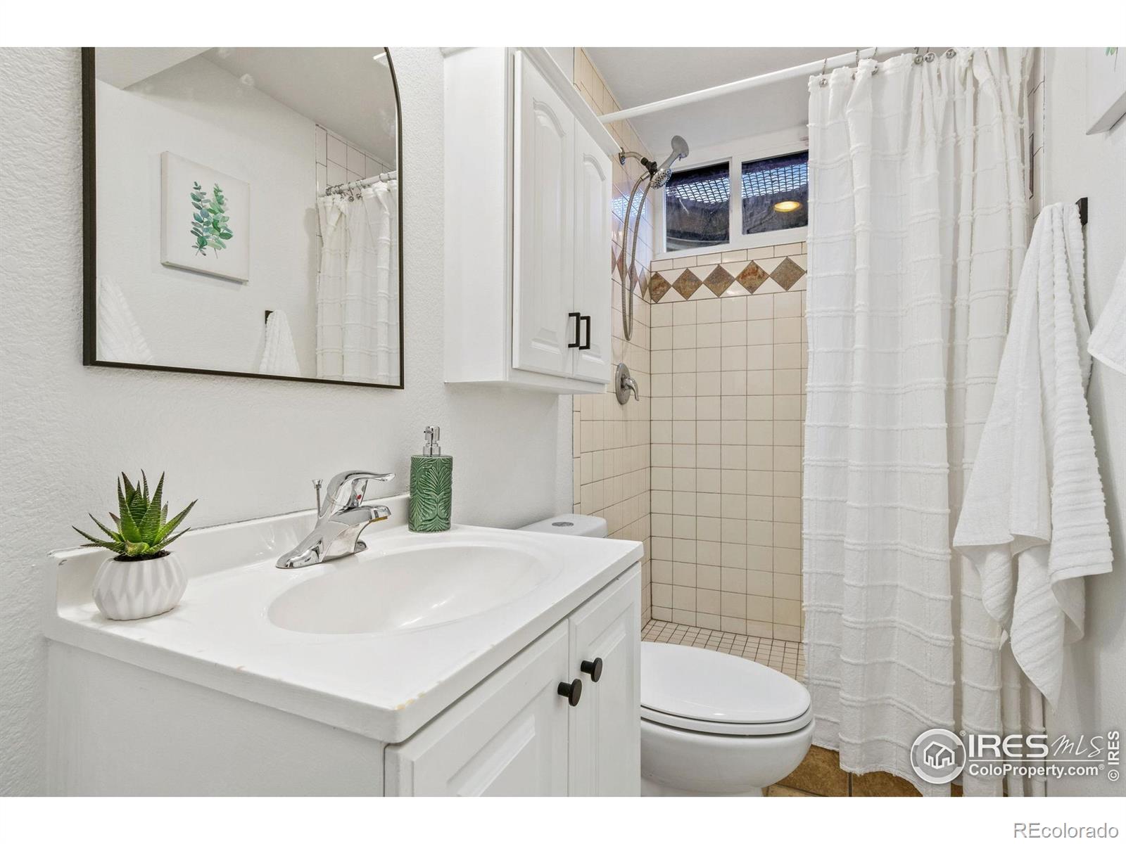 MLS Image #17 for 924  larch drive,windsor, Colorado