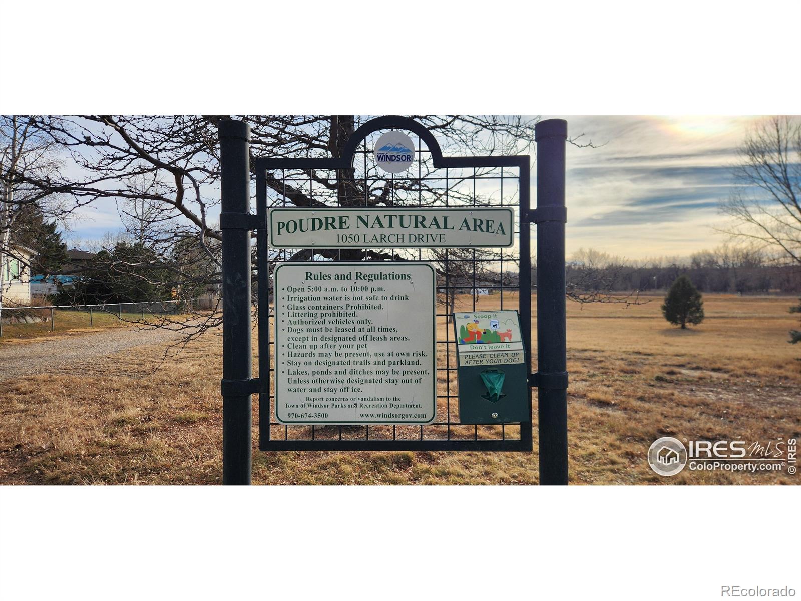 MLS Image #25 for 924  larch drive,windsor, Colorado