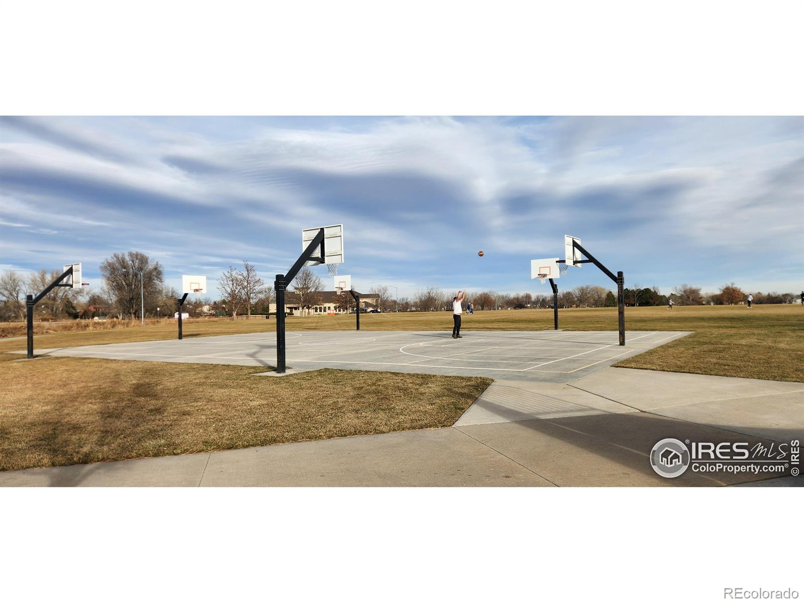 MLS Image #28 for 924  larch drive,windsor, Colorado