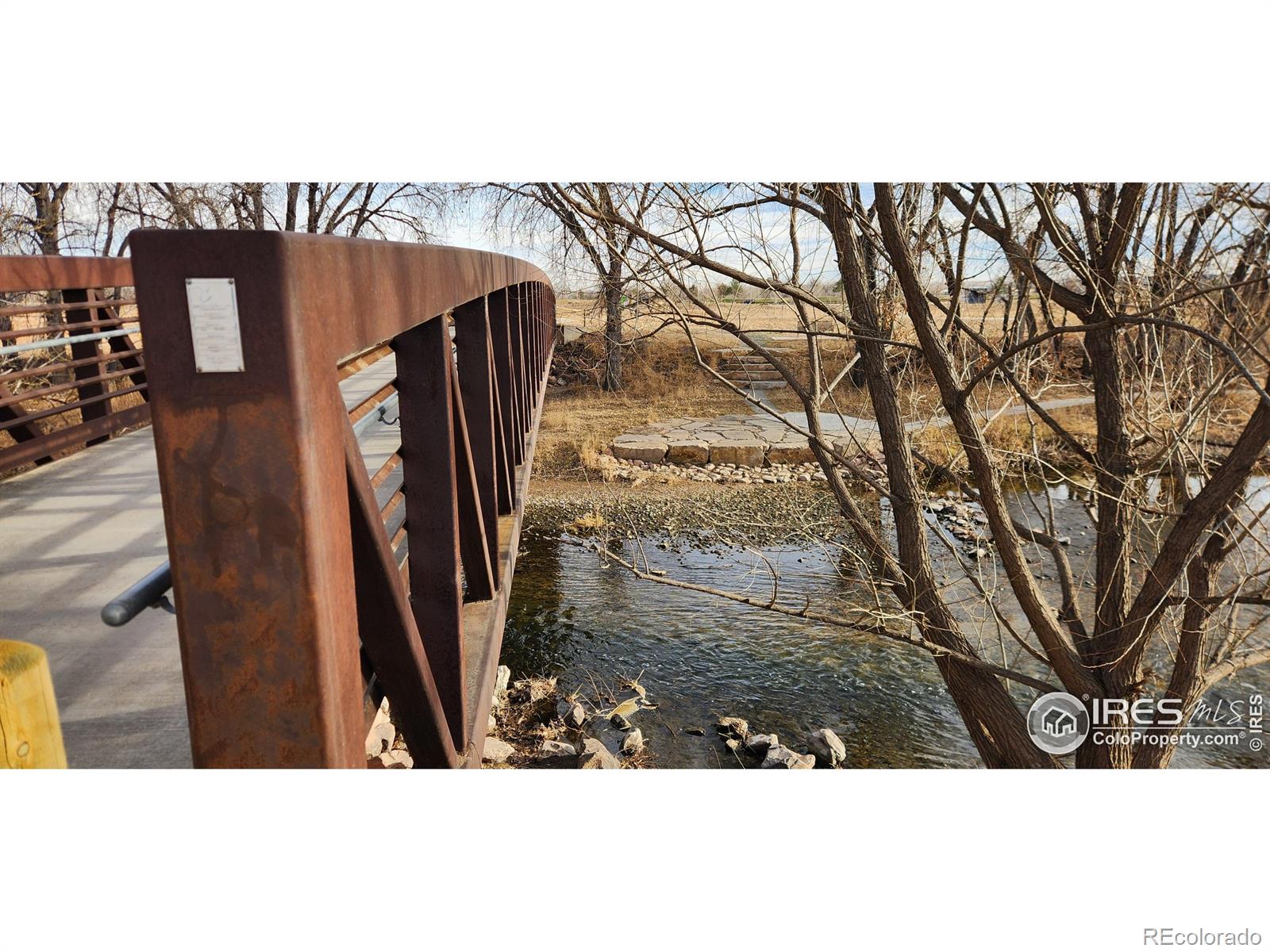 MLS Image #33 for 924  larch drive,windsor, Colorado