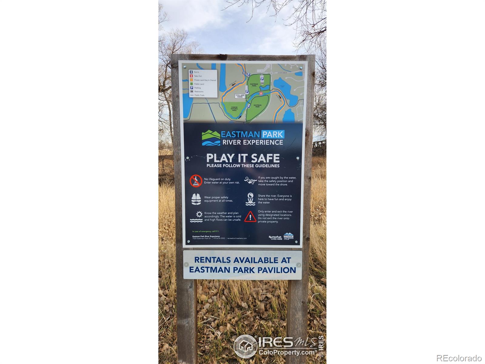 MLS Image #34 for 924  larch drive,windsor, Colorado