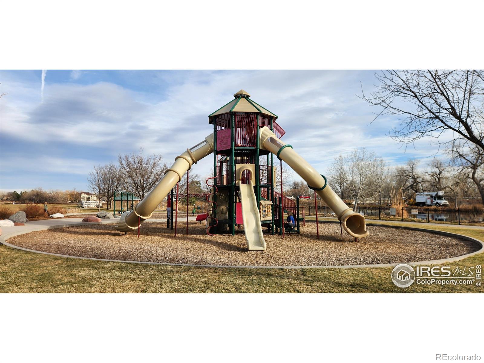 MLS Image #36 for 924  larch drive,windsor, Colorado