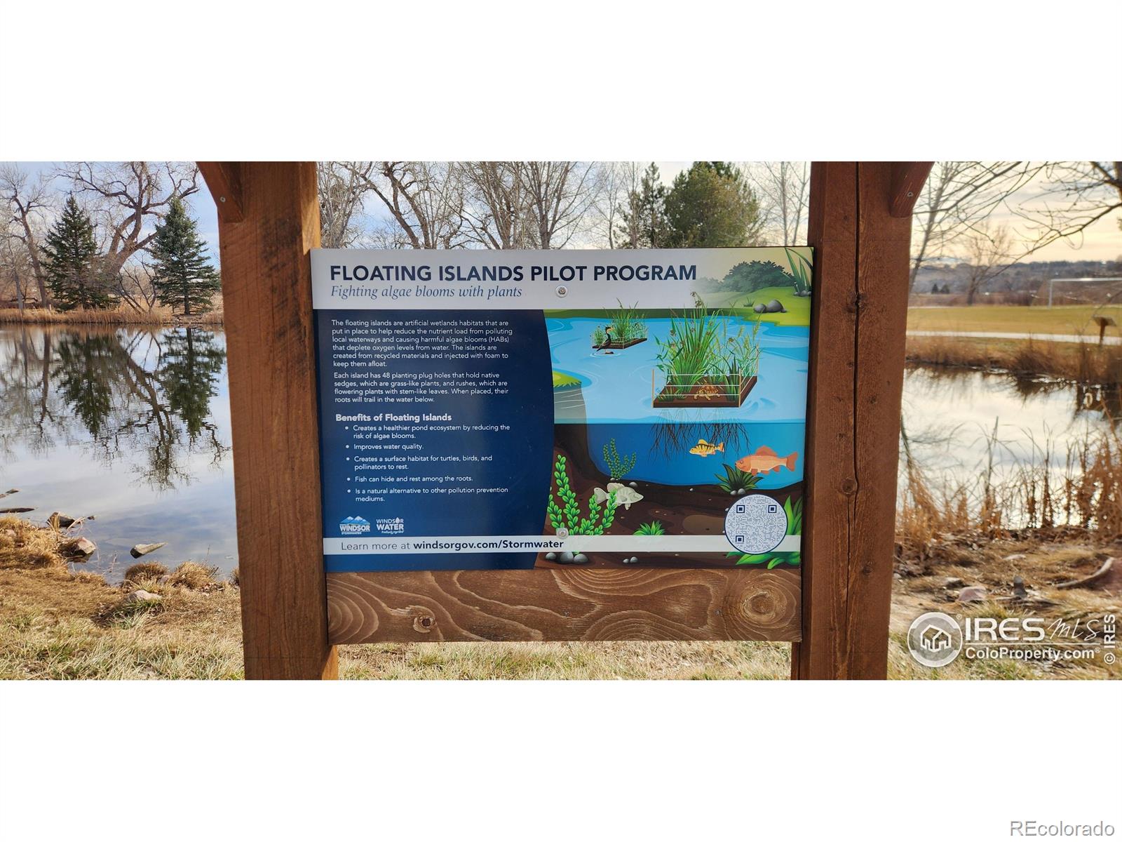 MLS Image #38 for 924  larch drive,windsor, Colorado