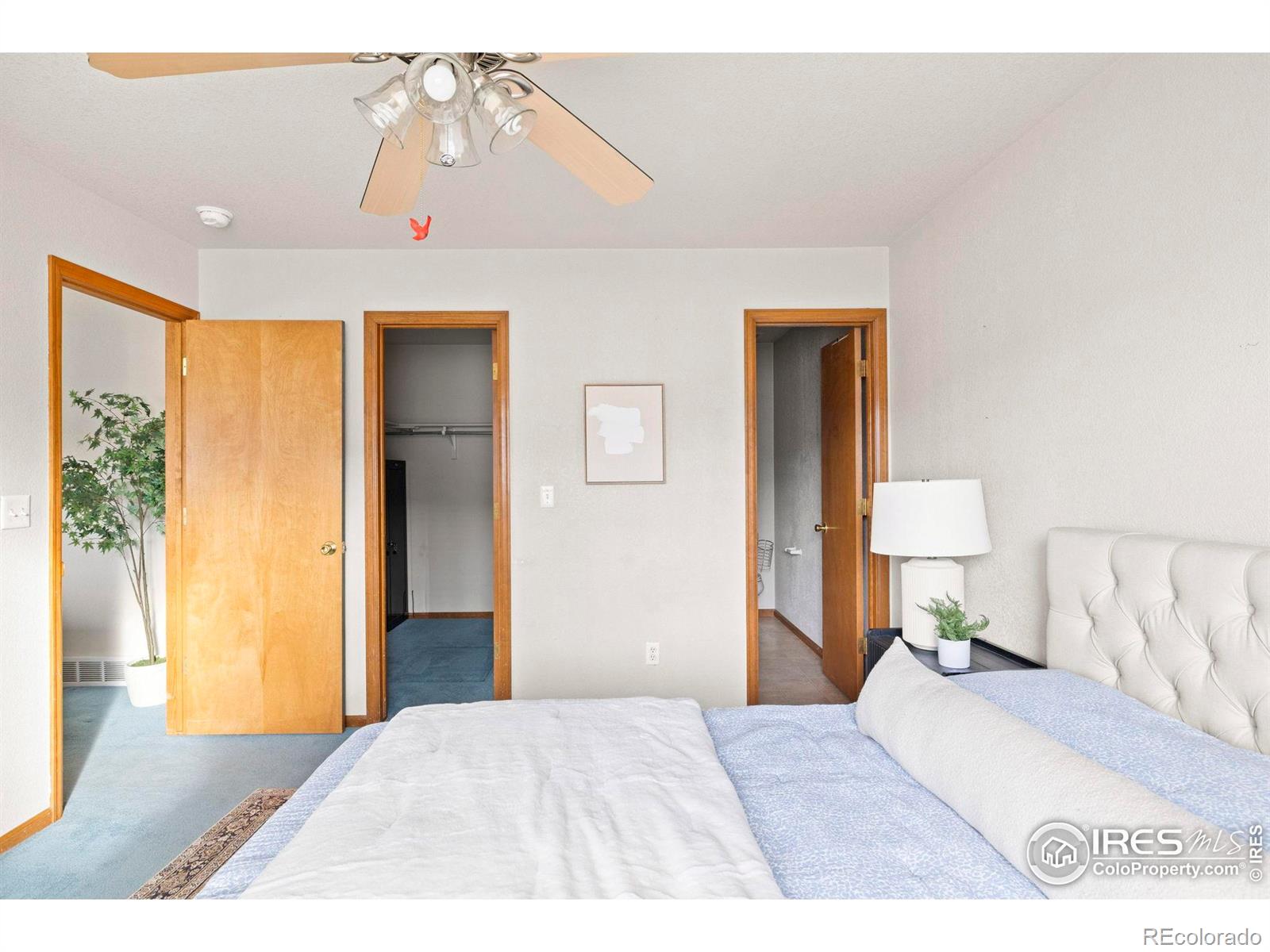 MLS Image #18 for 1372  lavender court,loveland, Colorado