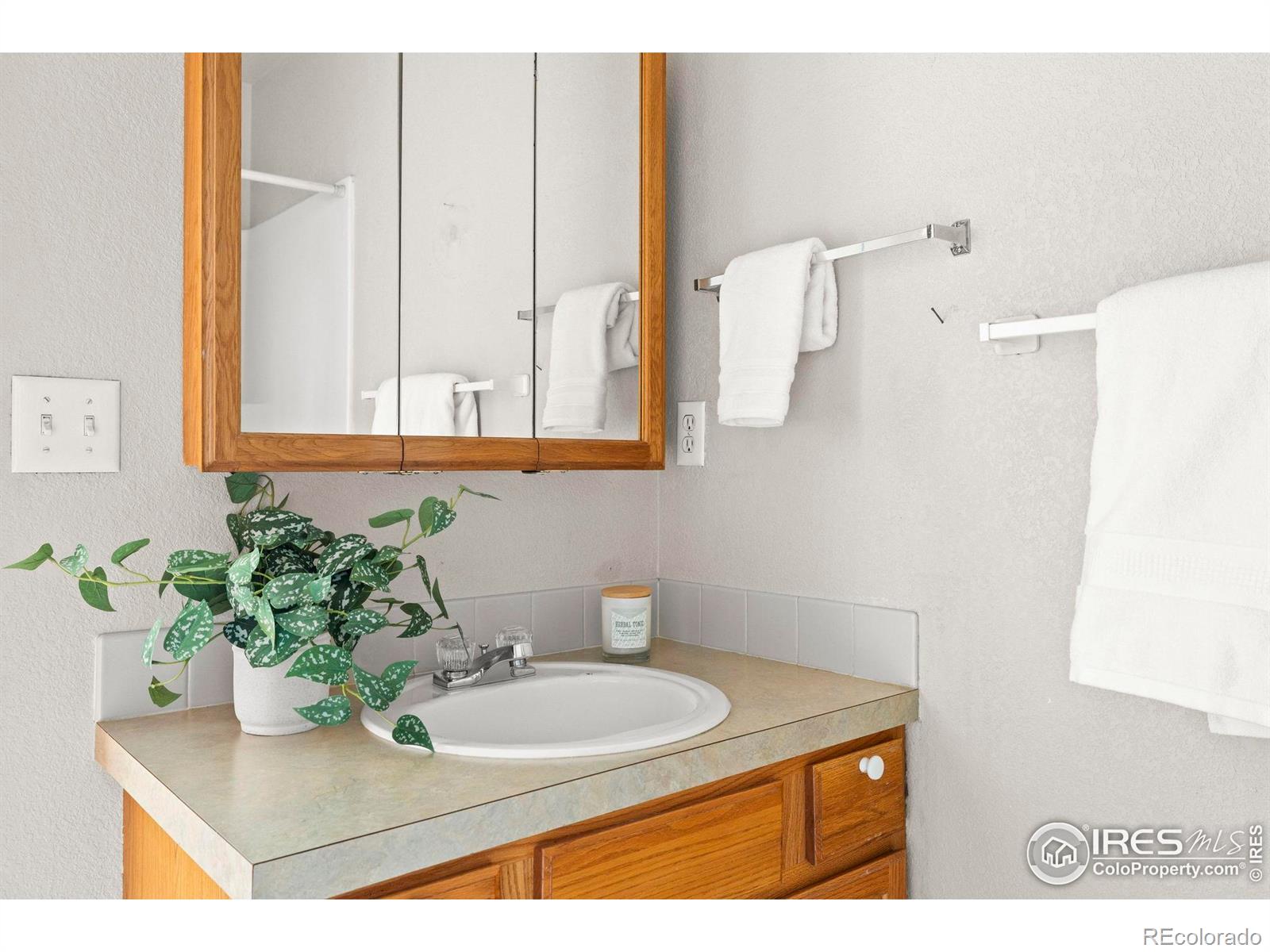 MLS Image #19 for 1372  lavender court,loveland, Colorado