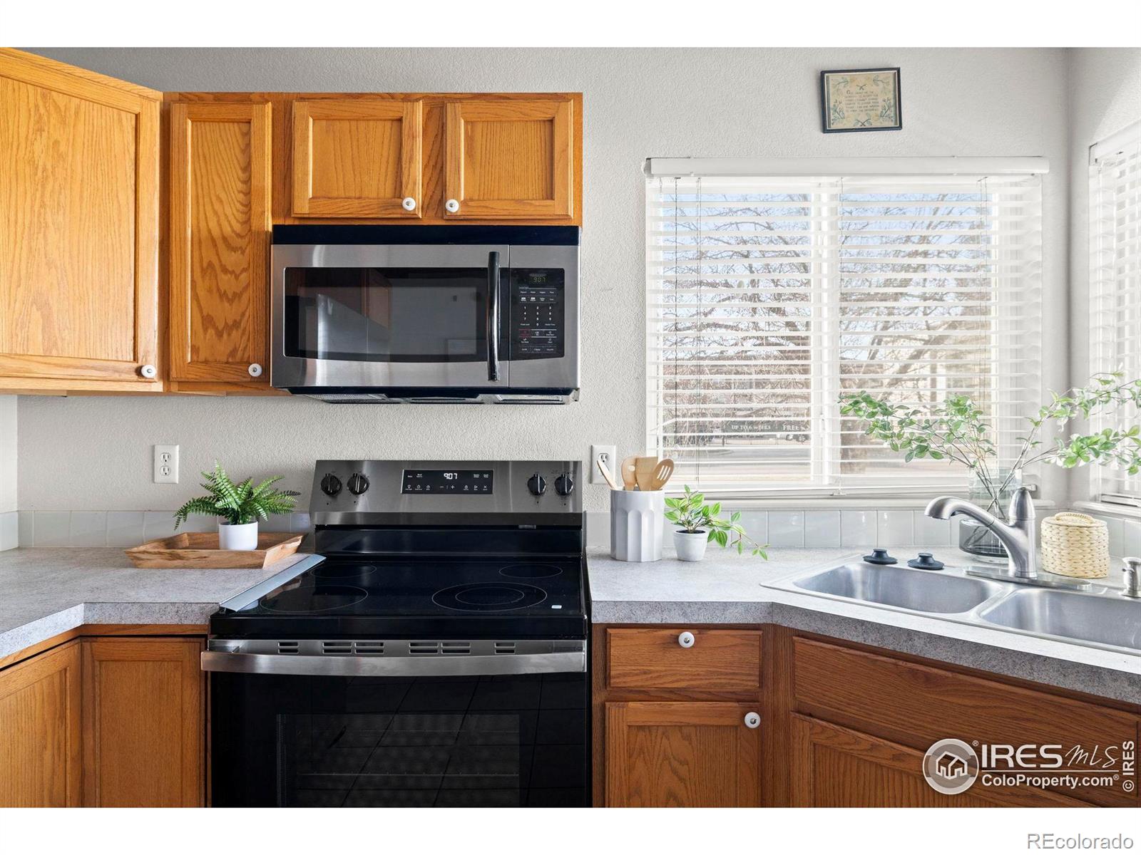MLS Image #5 for 1372  lavender court,loveland, Colorado