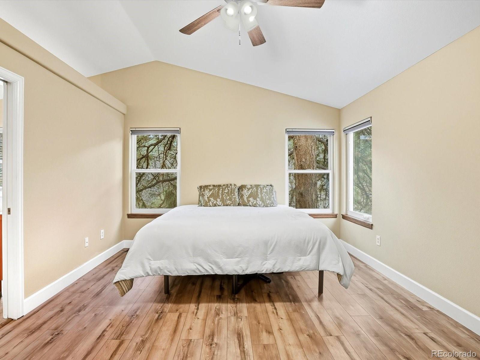 MLS Image #18 for 5825  irish pat murphy drive,parker, Colorado