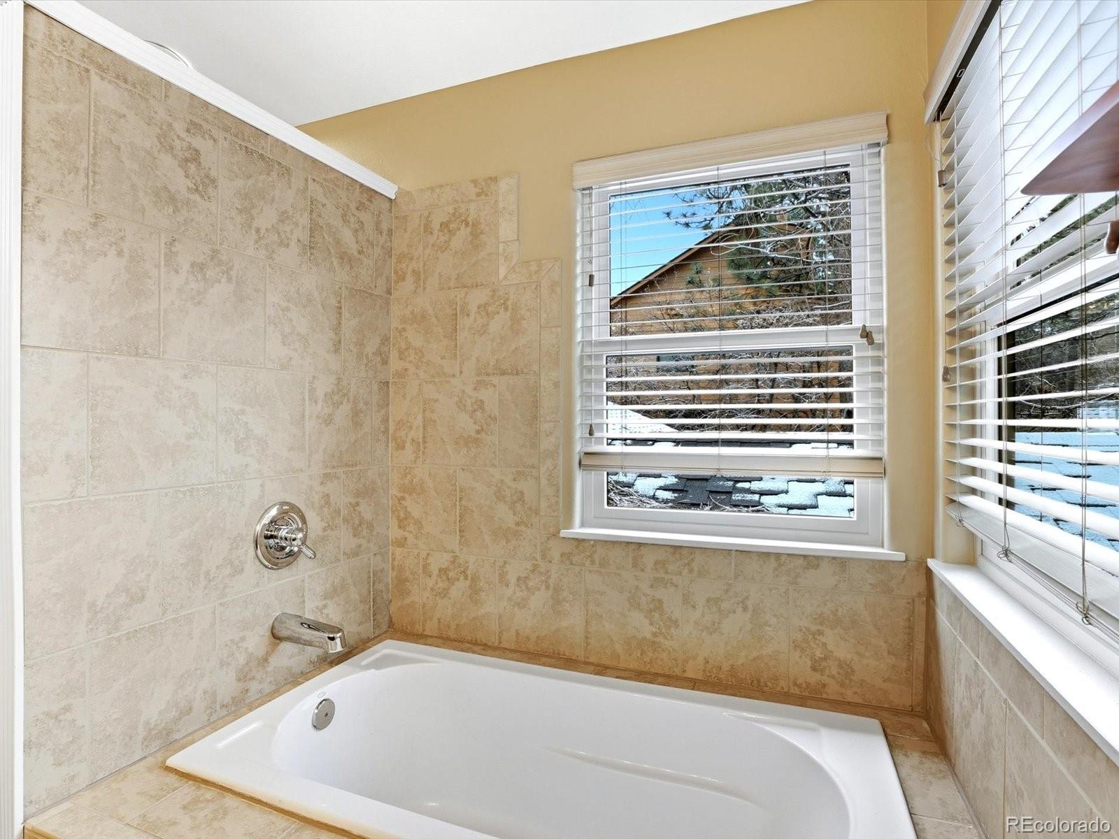 MLS Image #21 for 5825  irish pat murphy drive,parker, Colorado