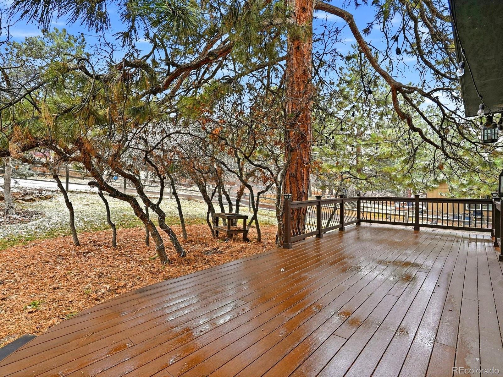 MLS Image #34 for 5825  irish pat murphy drive,parker, Colorado
