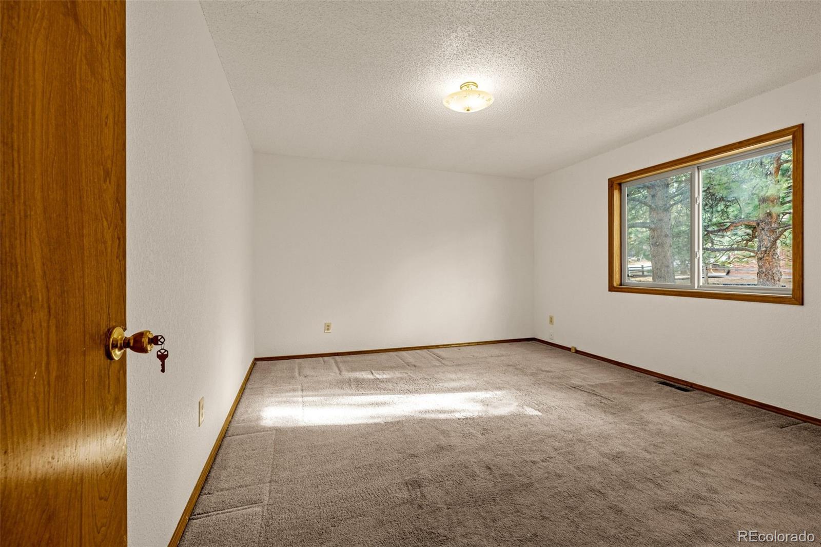 MLS Image #10 for 1080  center street,woodland park, Colorado