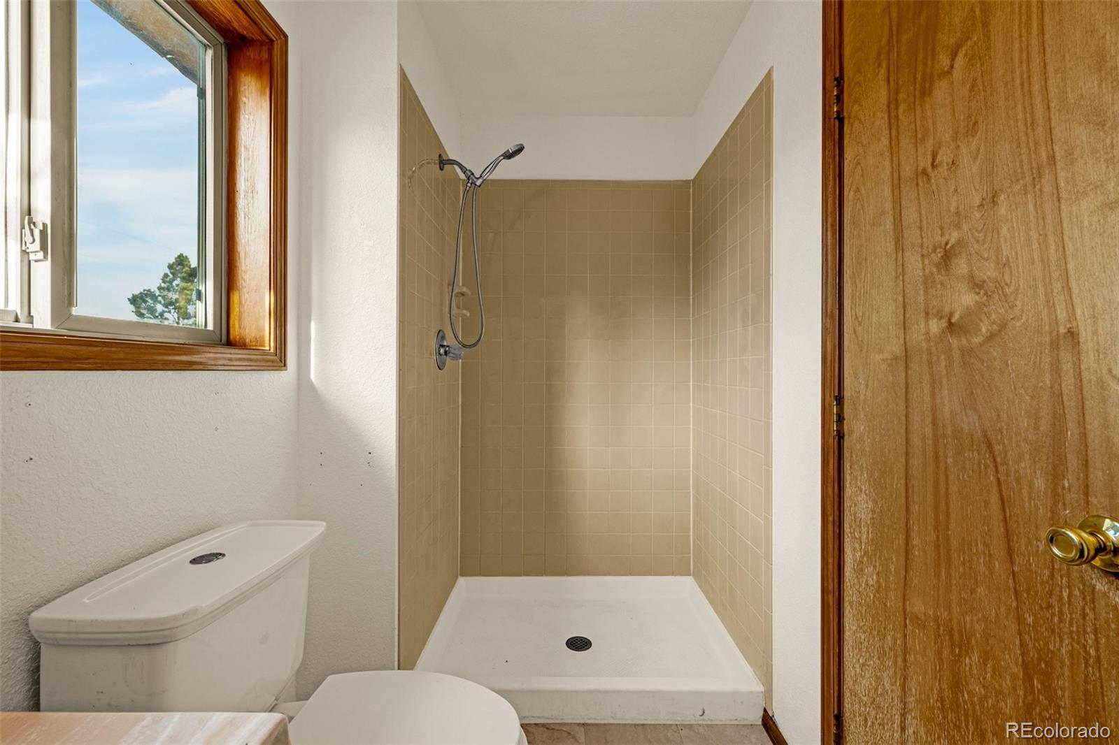 MLS Image #13 for 1080  center street,woodland park, Colorado