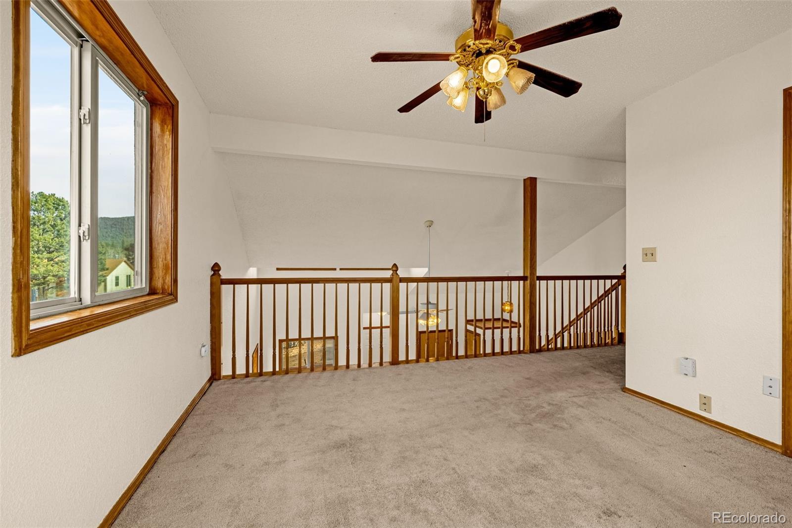 MLS Image #15 for 1080  center street,woodland park, Colorado