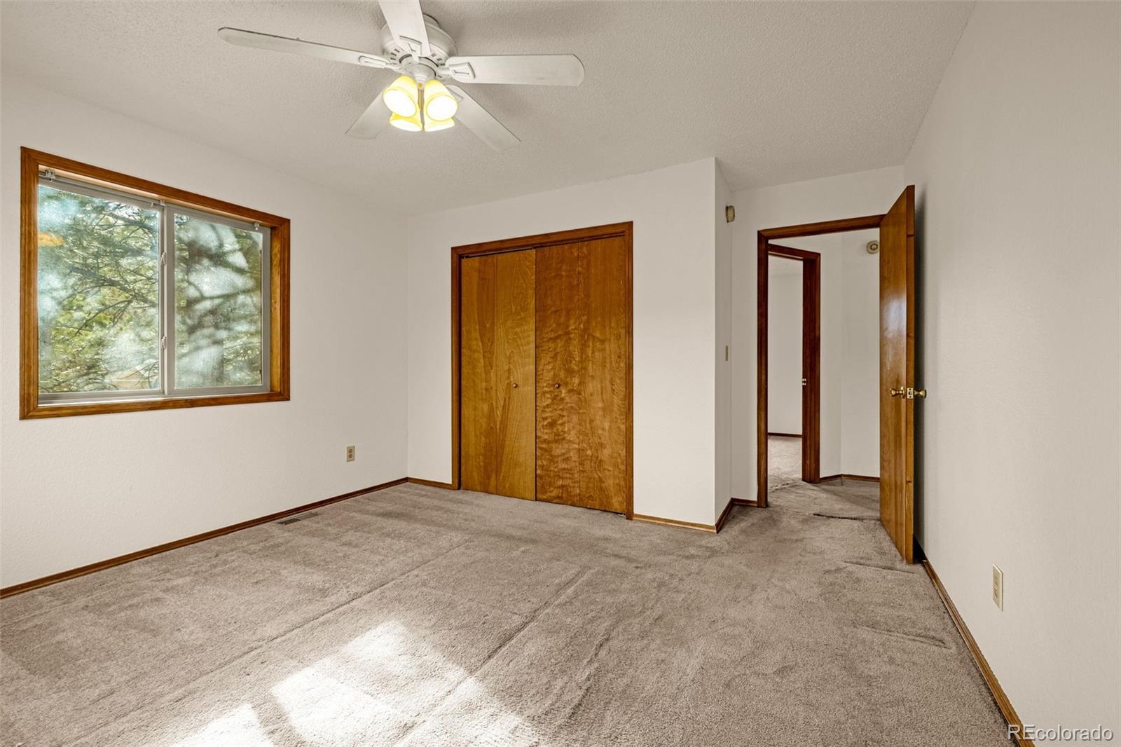 MLS Image #19 for 1080  center street,woodland park, Colorado