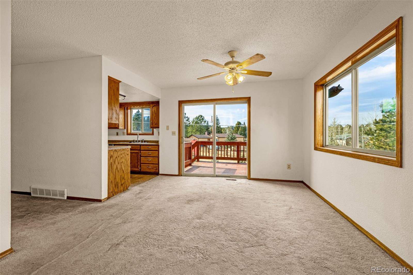 MLS Image #6 for 1080  center street,woodland park, Colorado