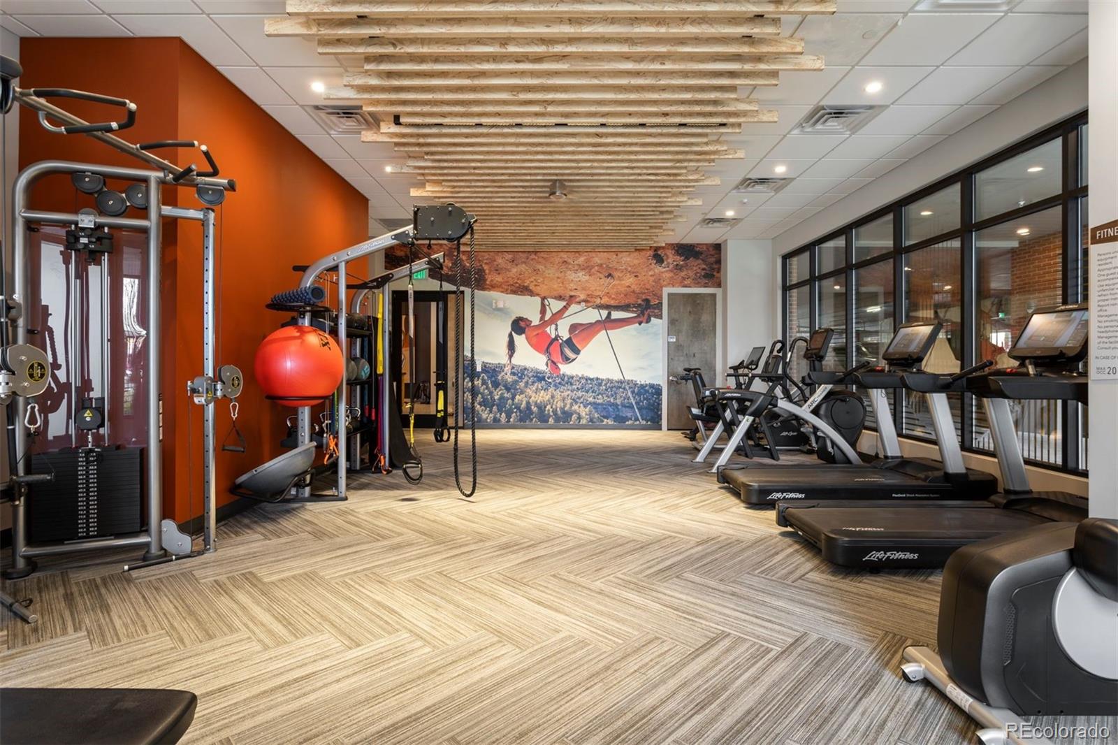 MLS Image #33 for 20  wilcox street 423,castle rock, Colorado