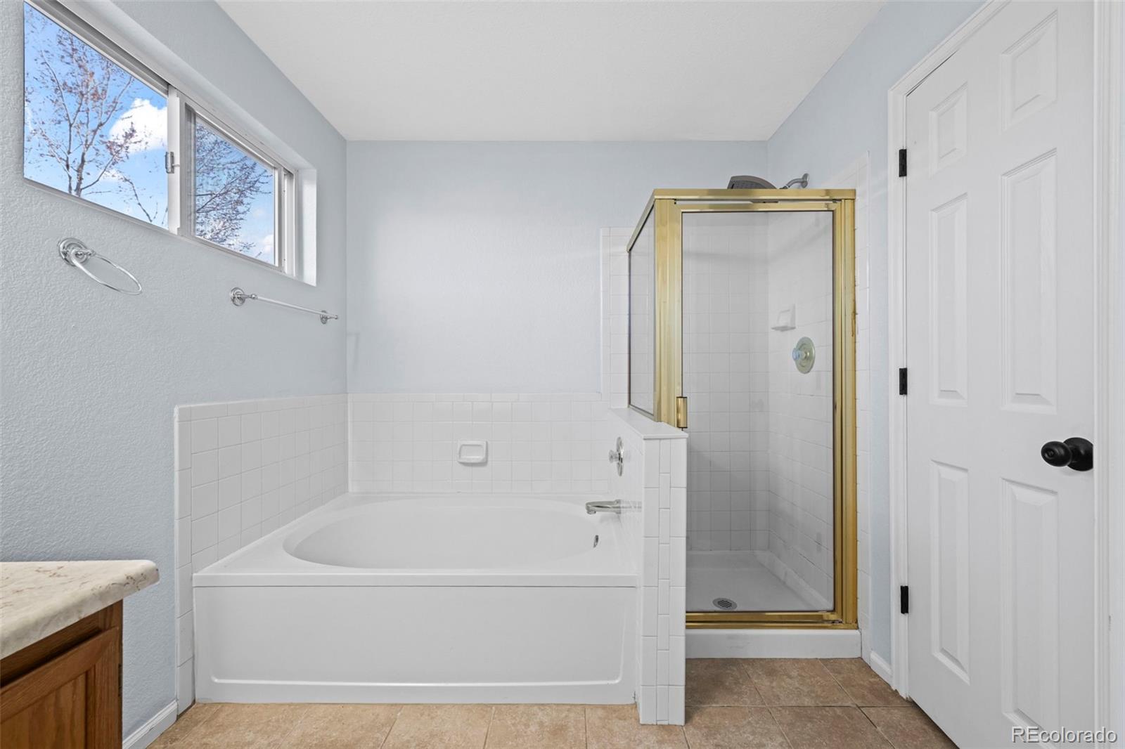 MLS Image #18 for 4821 n silverlace ,castle rock, Colorado