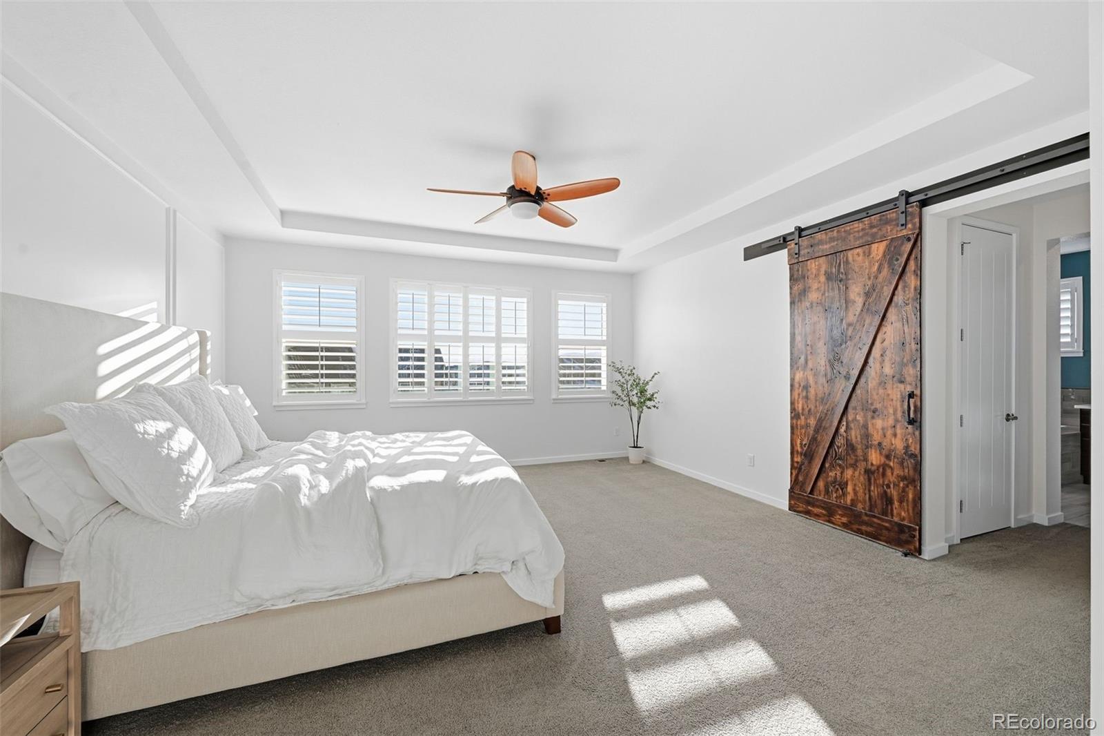 MLS Image #21 for 377  polaris circle,erie, Colorado