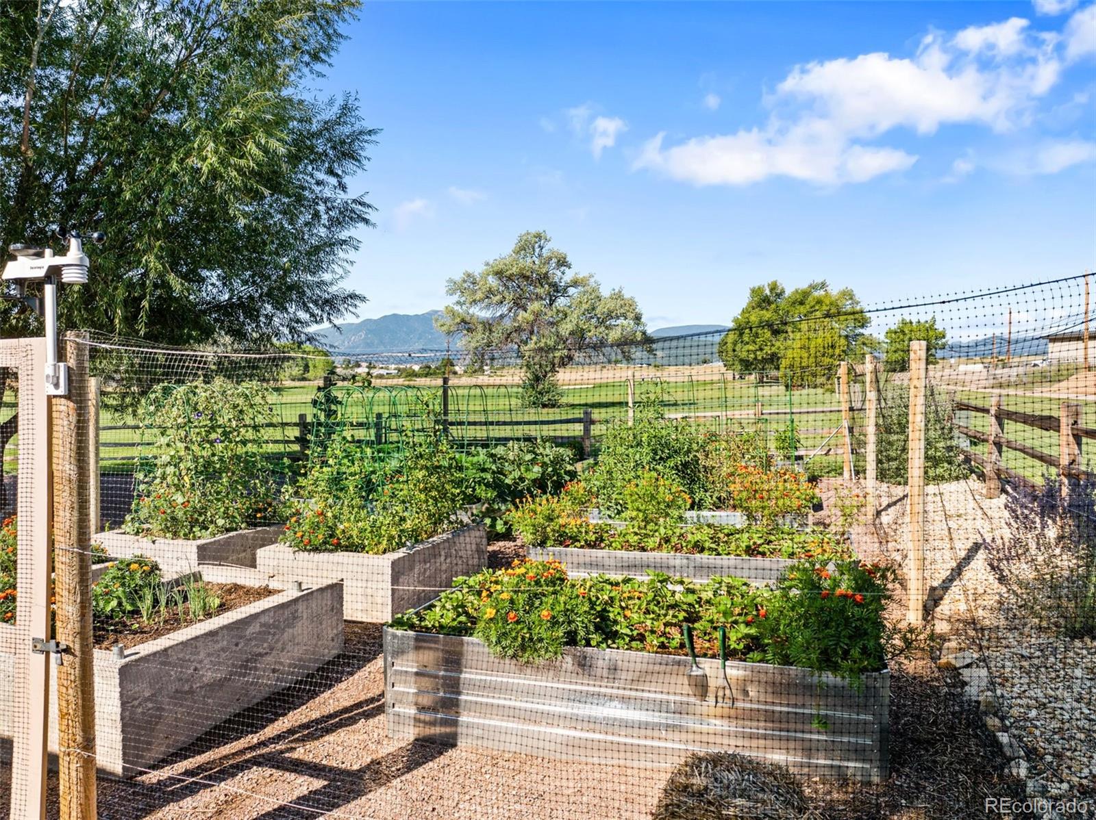MLS Image #36 for 1  bay meadows ,colorado city, Colorado