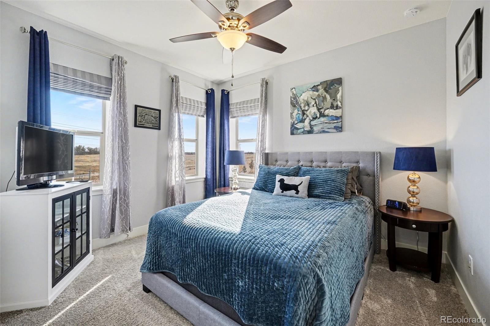 MLS Image #10 for 5969  hanover street,denver, Colorado
