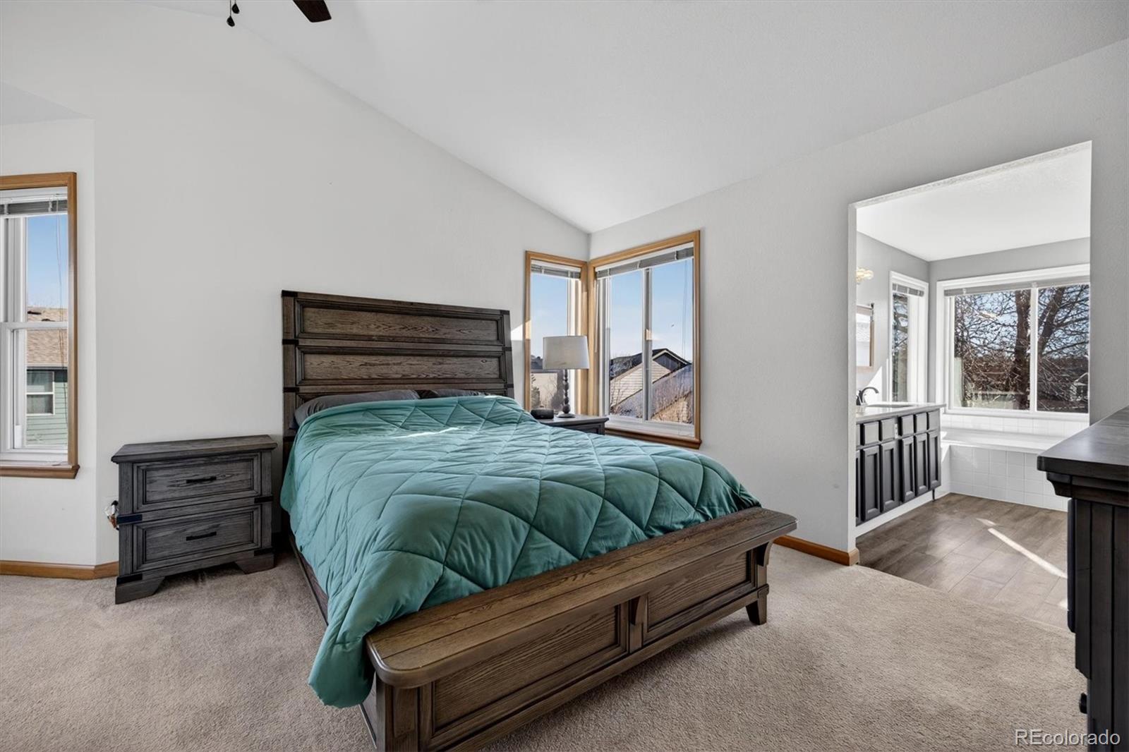 MLS Image #15 for 10626  oakmoor court,parker, Colorado