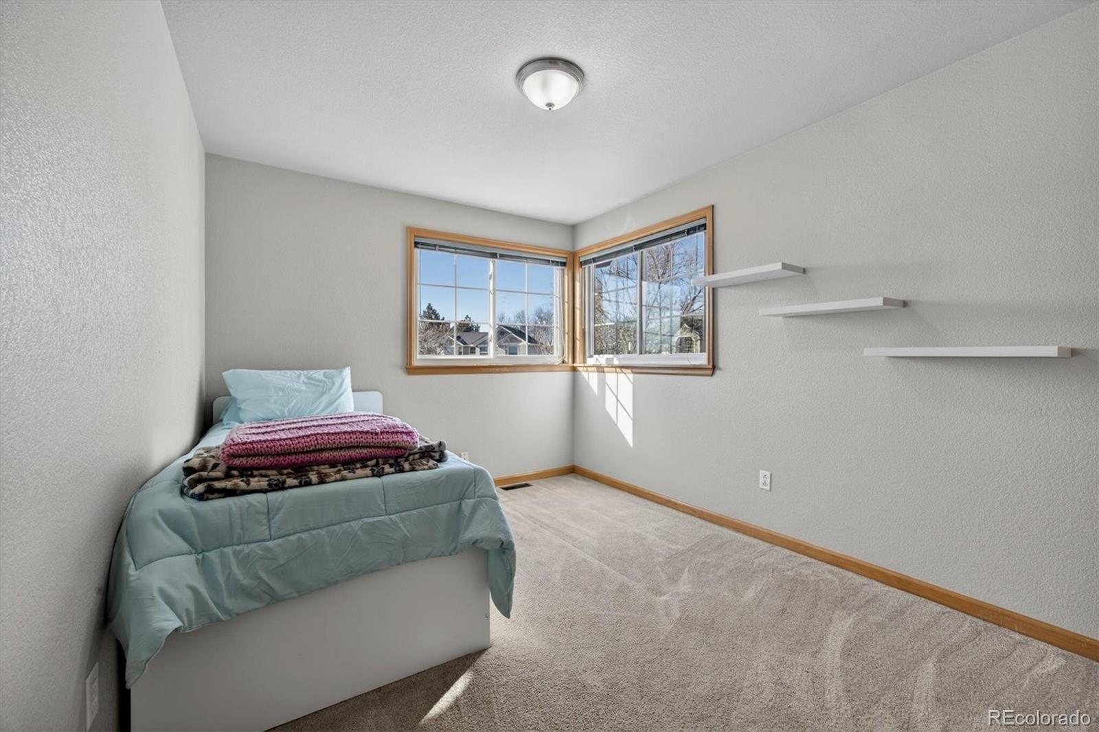 MLS Image #23 for 10626  oakmoor court,parker, Colorado