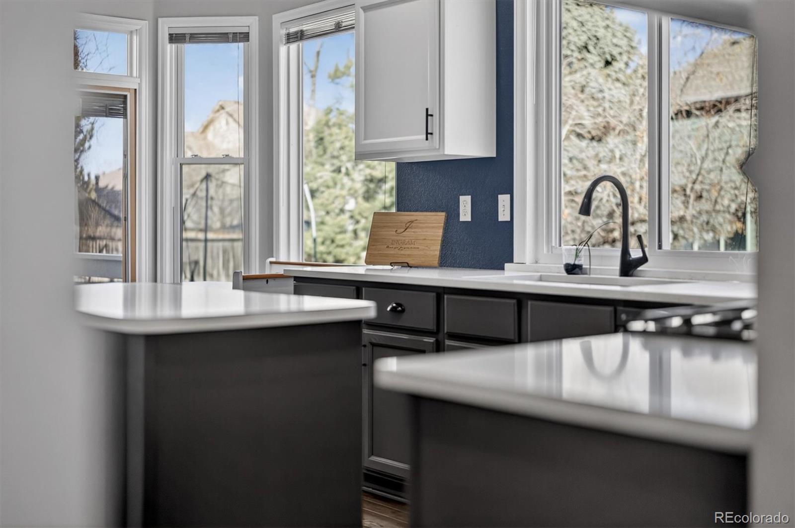 MLS Image #45 for 10626  oakmoor court,parker, Colorado