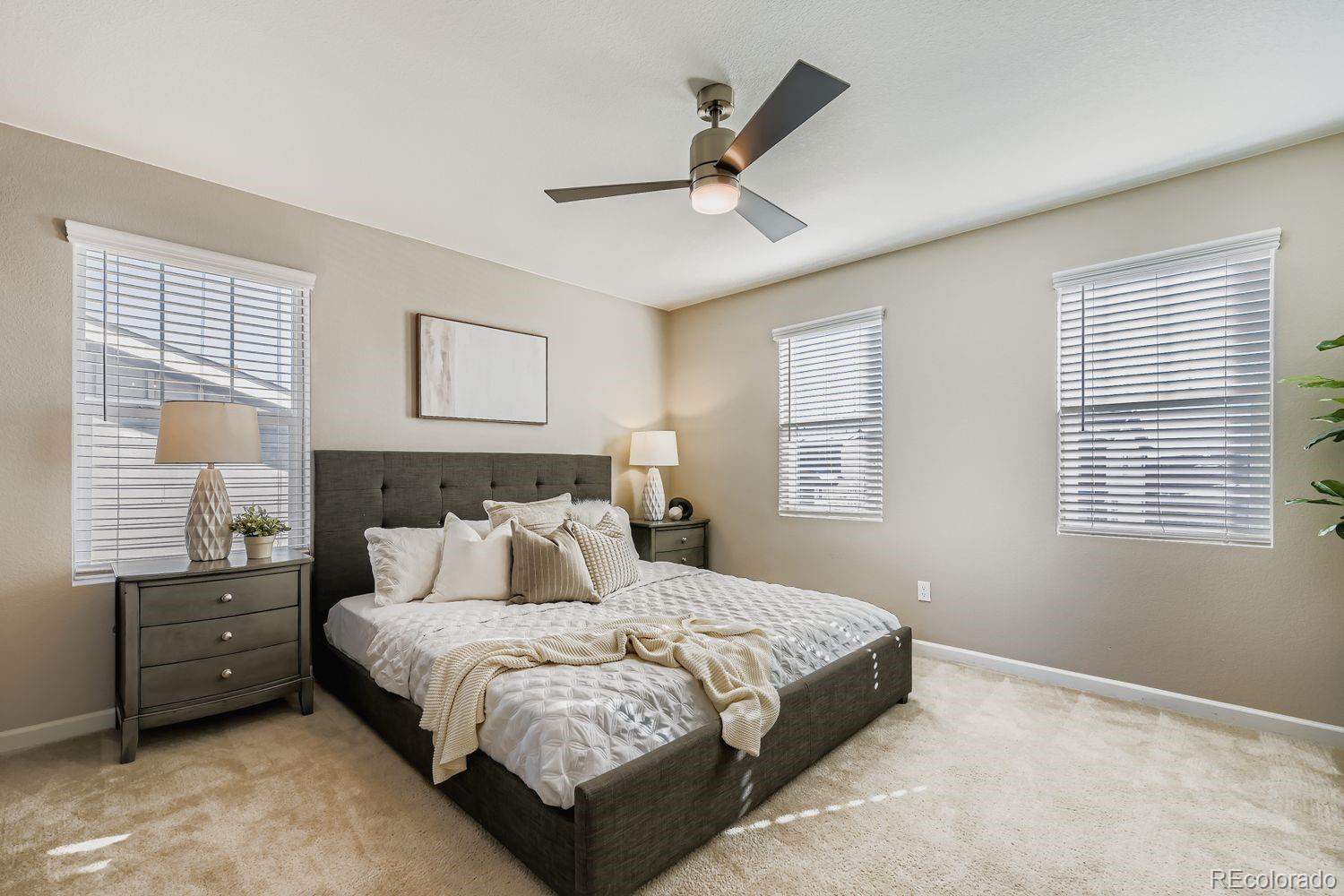 MLS Image #8 for 868  audubon peak drive,erie, Colorado