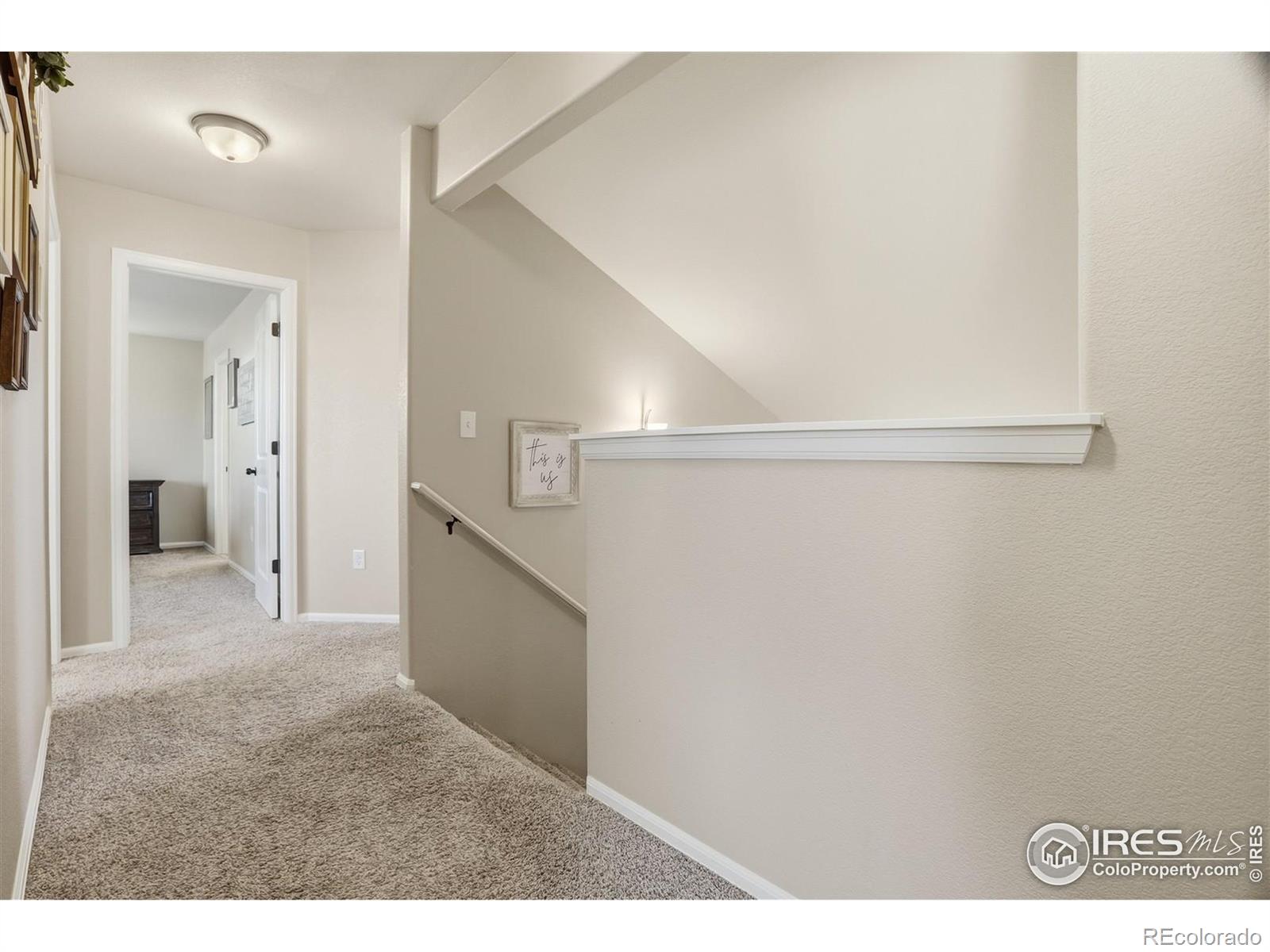 MLS Image #21 for 1102  tur street,severance, Colorado