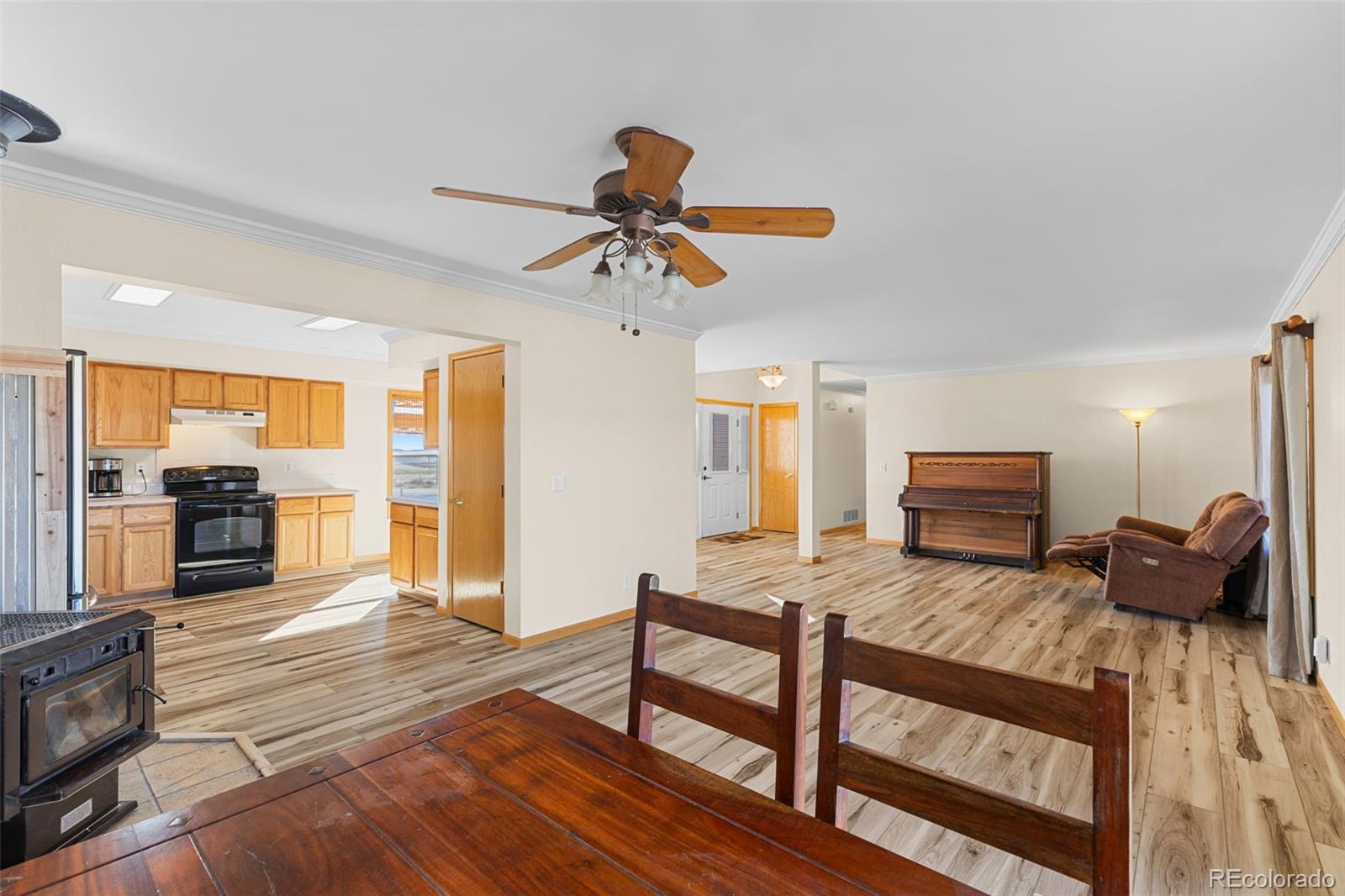 MLS Image #10 for 1211  meadow drive,fairplay, Colorado
