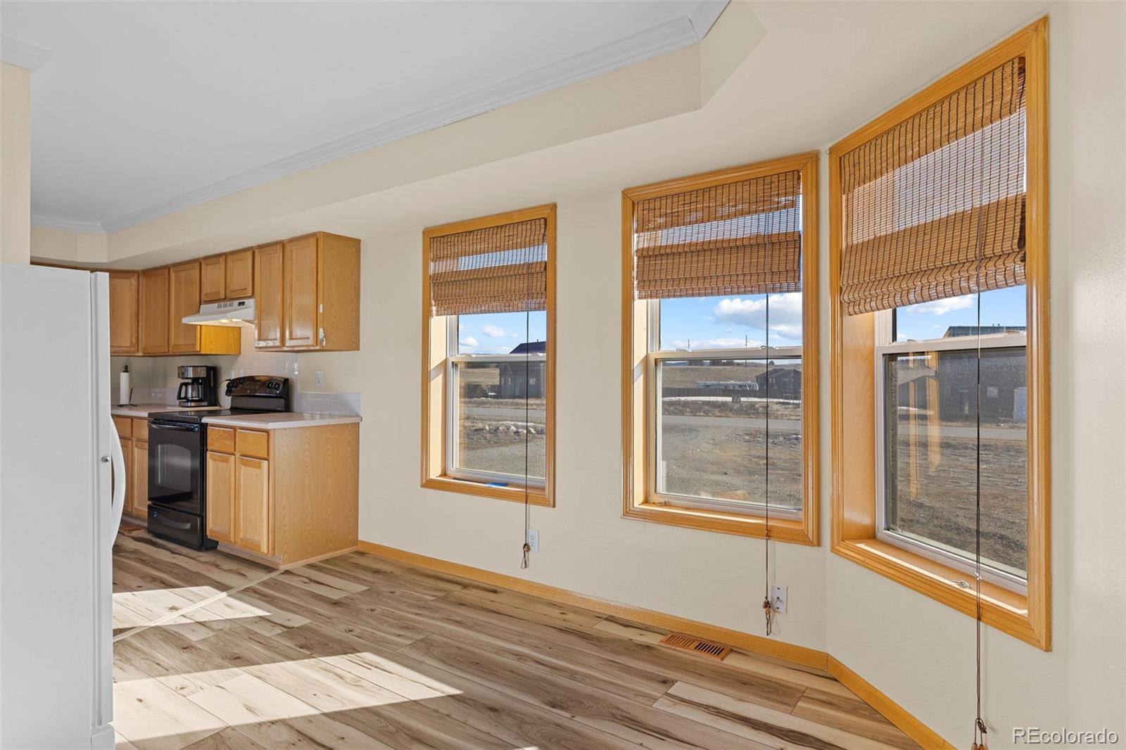 MLS Image #16 for 1211  meadow drive,fairplay, Colorado