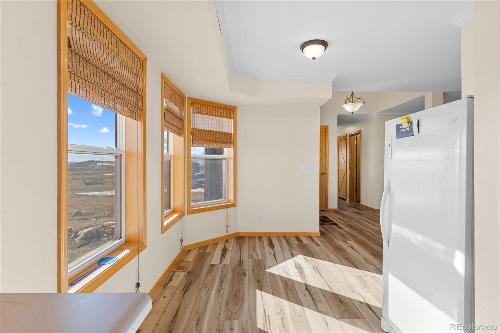 MLS Image #17 for 1211  meadow drive,fairplay, Colorado