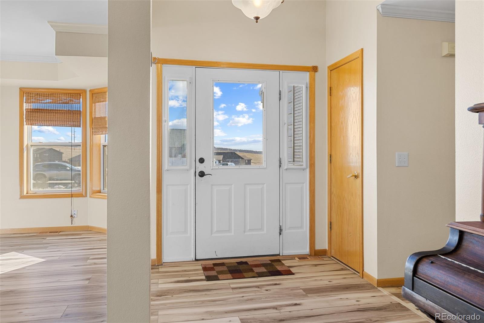MLS Image #3 for 1211  meadow drive,fairplay, Colorado
