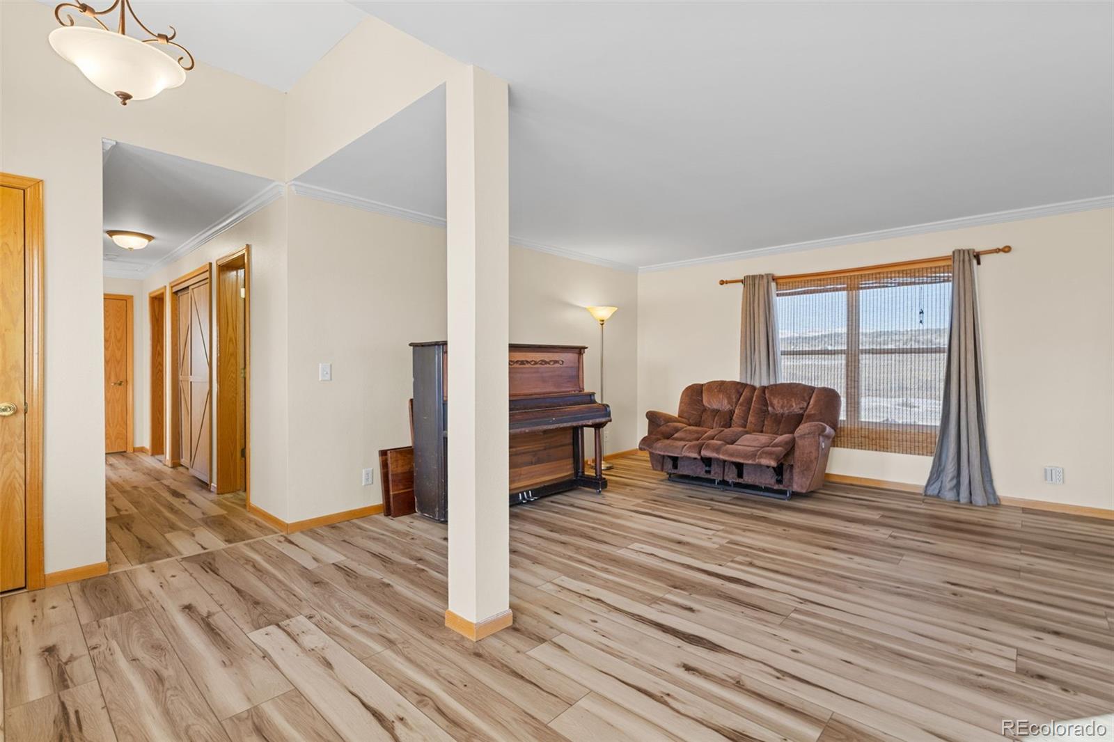 MLS Image #5 for 1211  meadow drive,fairplay, Colorado