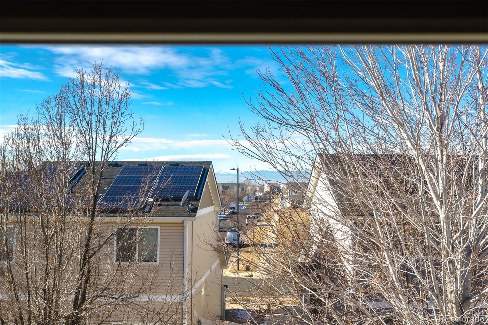 MLS Image #17 for 5559  malta street,denver, Colorado