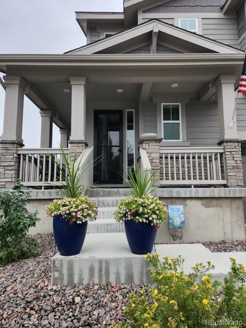 MLS Image #1 for 3192  greenery drive,castle rock, Colorado