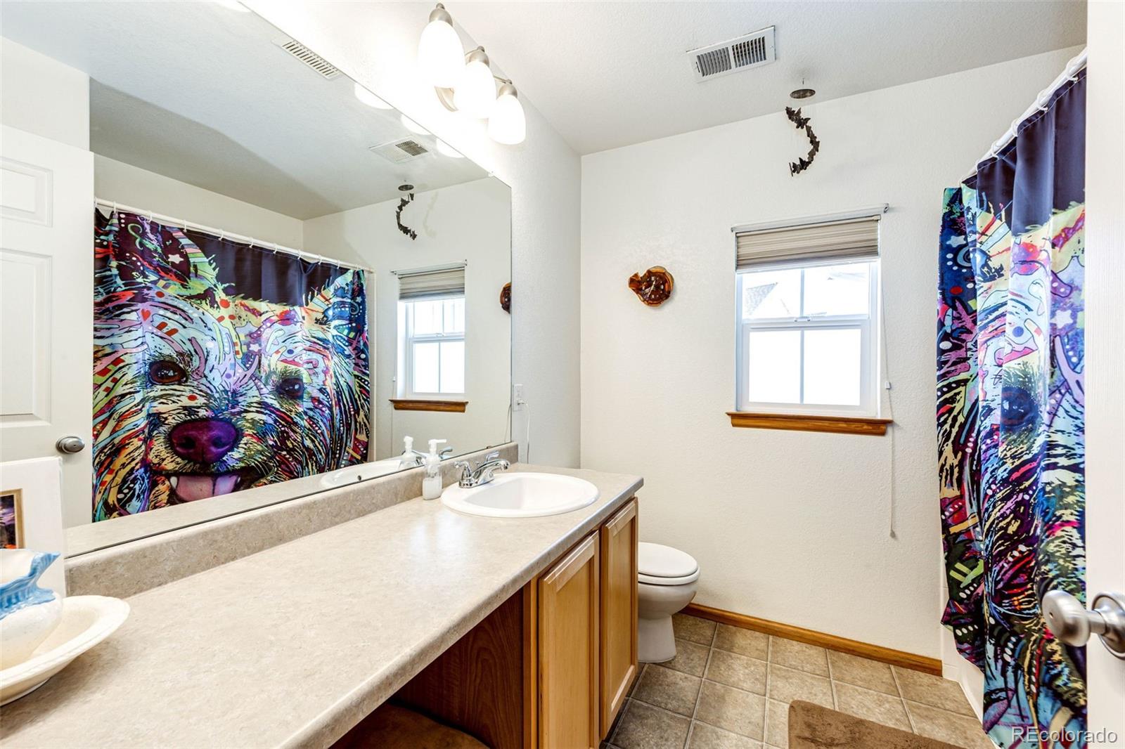 MLS Image #21 for 1190 s pitkin way ,aurora, Colorado