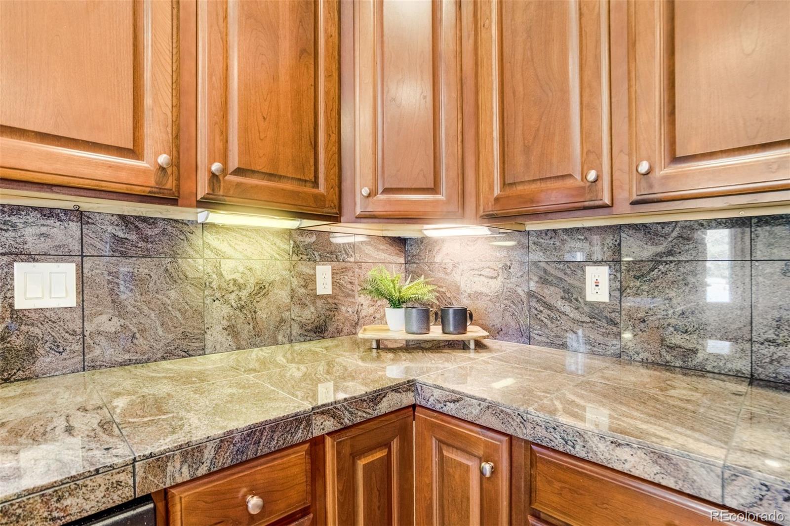 MLS Image #12 for 2364  spanish oak terrace,colorado springs, Colorado